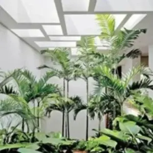 Desain Taman Rumah
