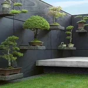 Jasa-pembuatan-taman-bonsai