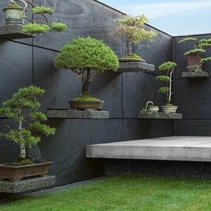 Jasa-pembuatan-taman-bonsai