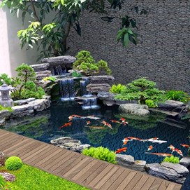 Pembuatan-kolam-koi