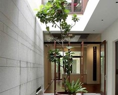 Desain Taman Rumah
