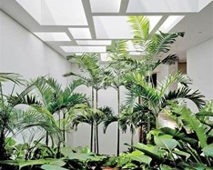 Desain Taman Rumah
