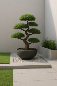 Taman-bonsai-minimalis