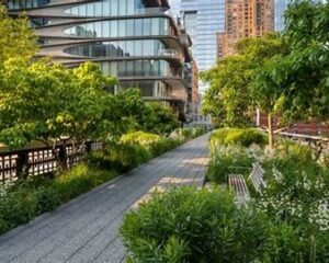 Landscape dan Gardening