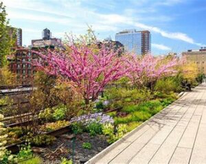Landscape dan Gardening