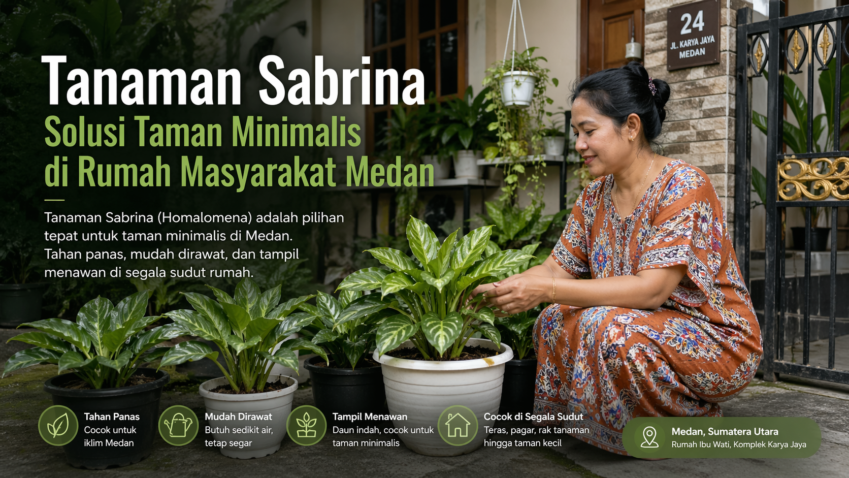 tanaman sabrina