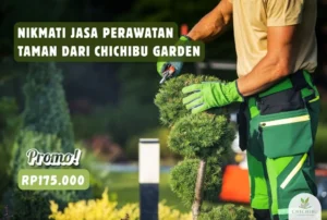 Jasa Perawatan Taman