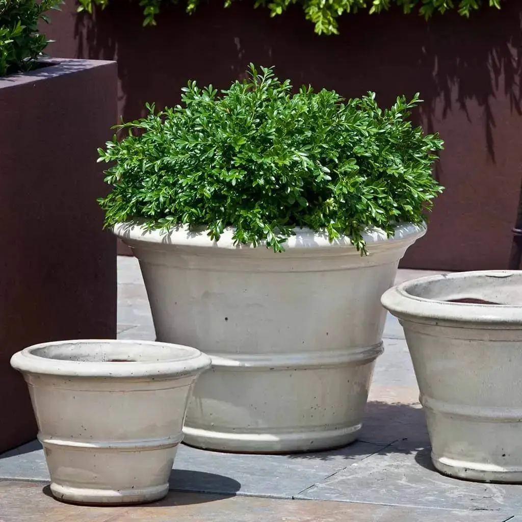 Pot dan Planter Taman Minimalis