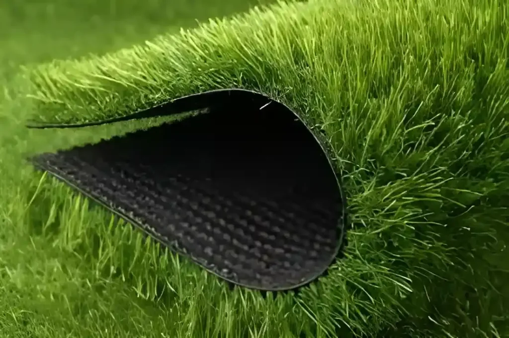 Jenis Rumput Taman