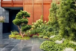 Natural Landscaping Stones