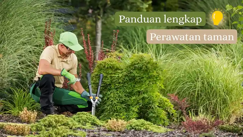 Perawatan Taman