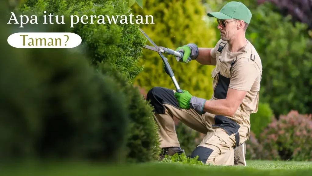 Perawatan Taman