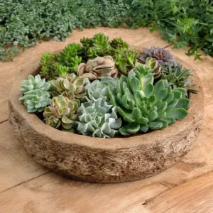 Planter untuk Teras