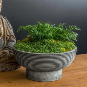 Planter untuk Teras
