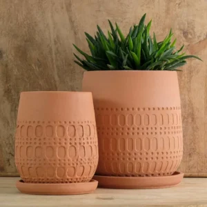 Planter untuk Teras