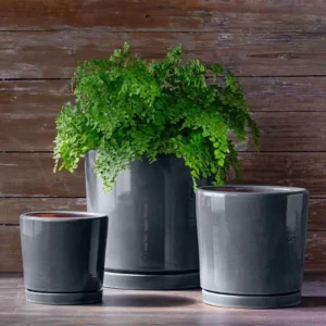 Planter untuk Teras