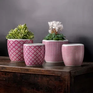 Planter untuk Teras