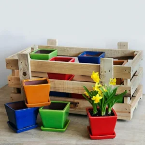 Planter untuk Teras