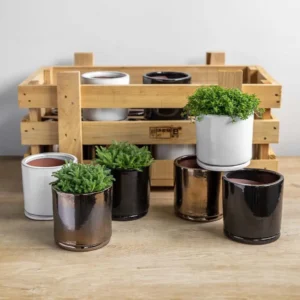 Planter untuk Teras