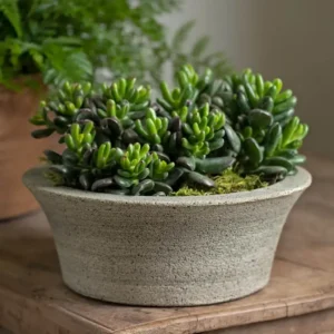 Planter untuk Teras