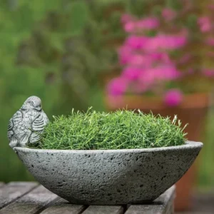 Planter untuk Teras