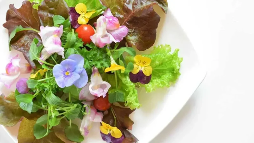 Edible Flower