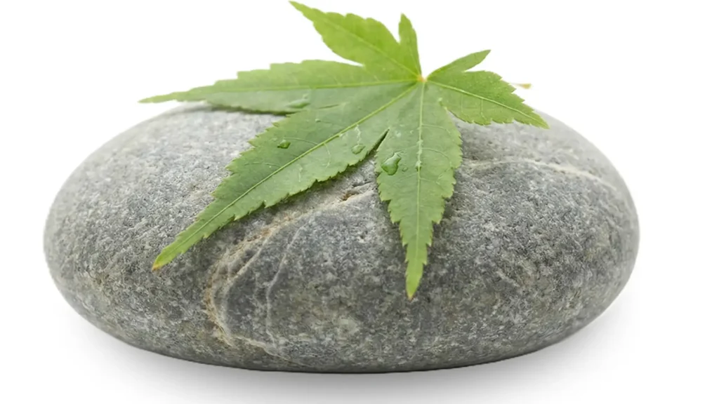 Batu pijat spa alami berwarna abu-abu halus diletakkan di atas permukaan putih bersih, dihiasi dengan sehelai daun hijau segar palmate (mirip maple).