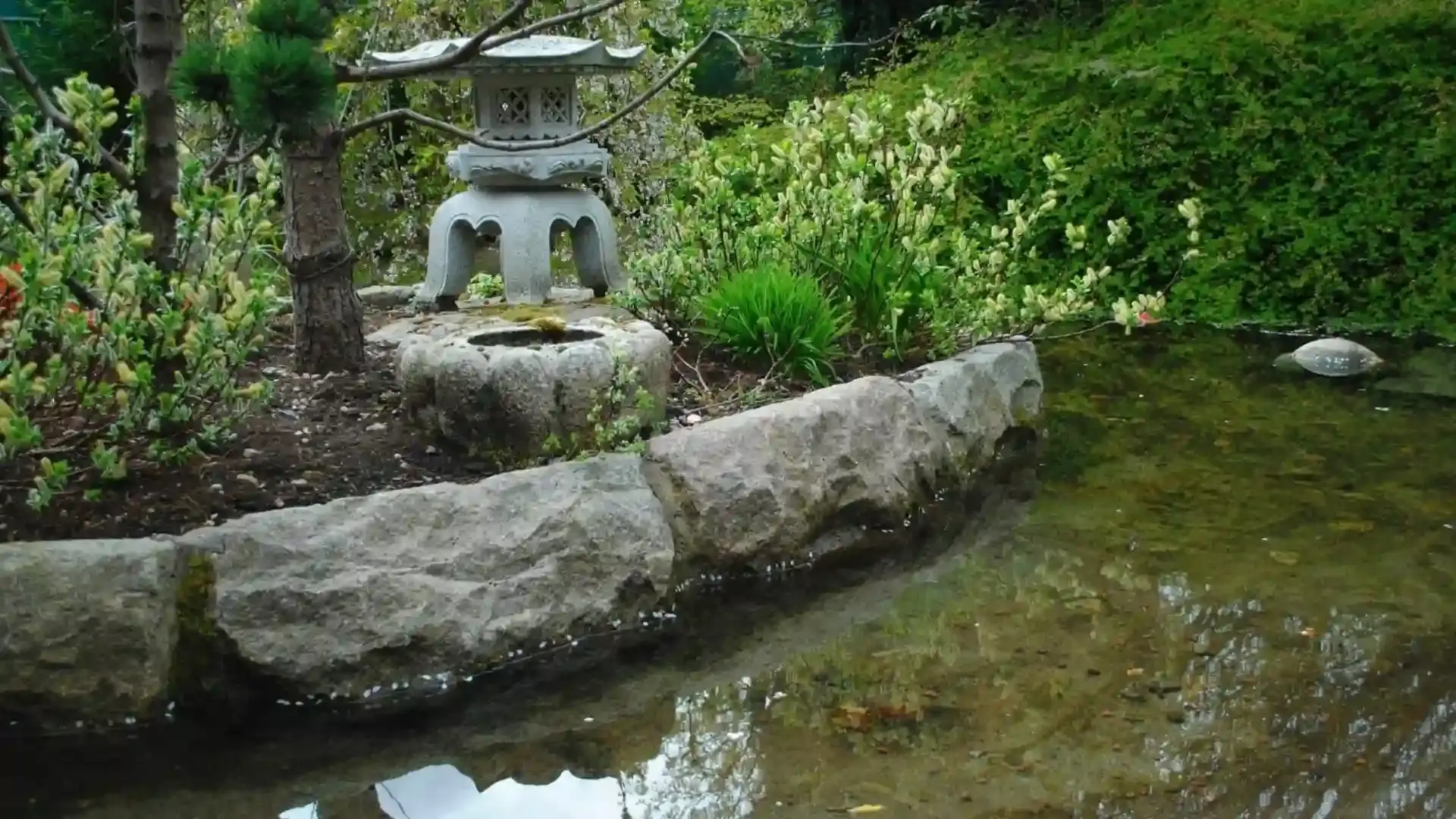 kolam taman tropis