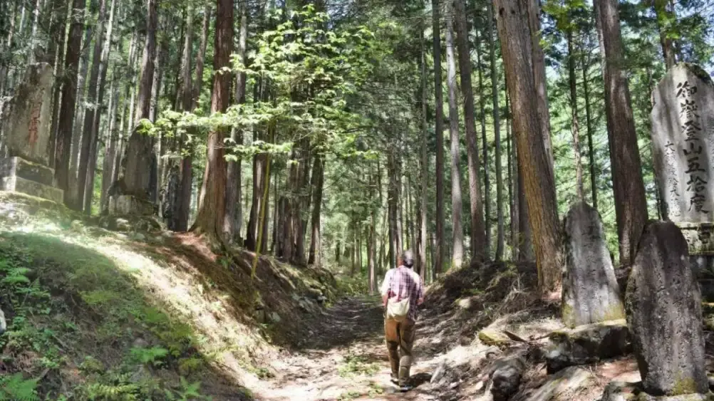 taman hutan jepang