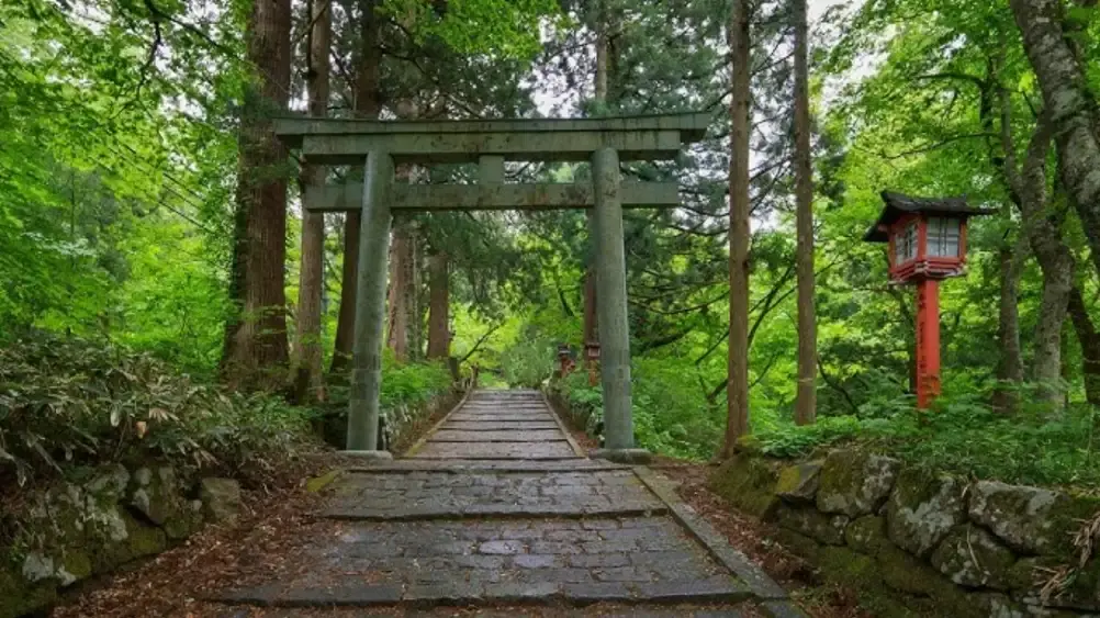 taman hutan jepang