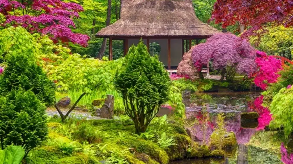 taman hutan jepang