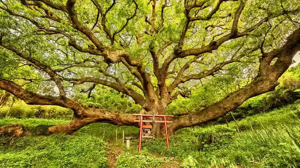 taman hutan jepang