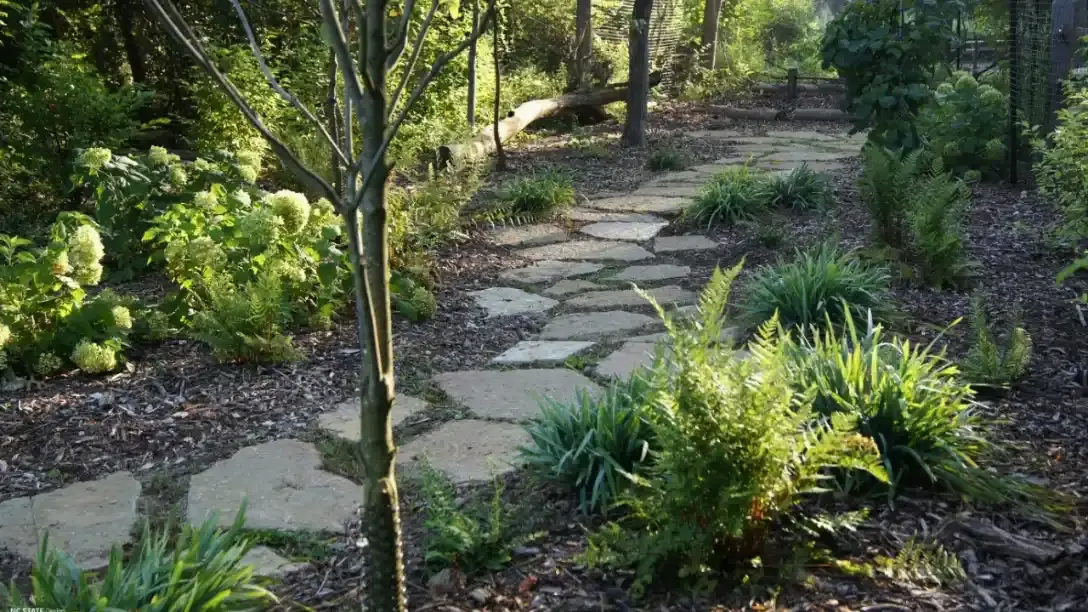 Taman hutan jepang