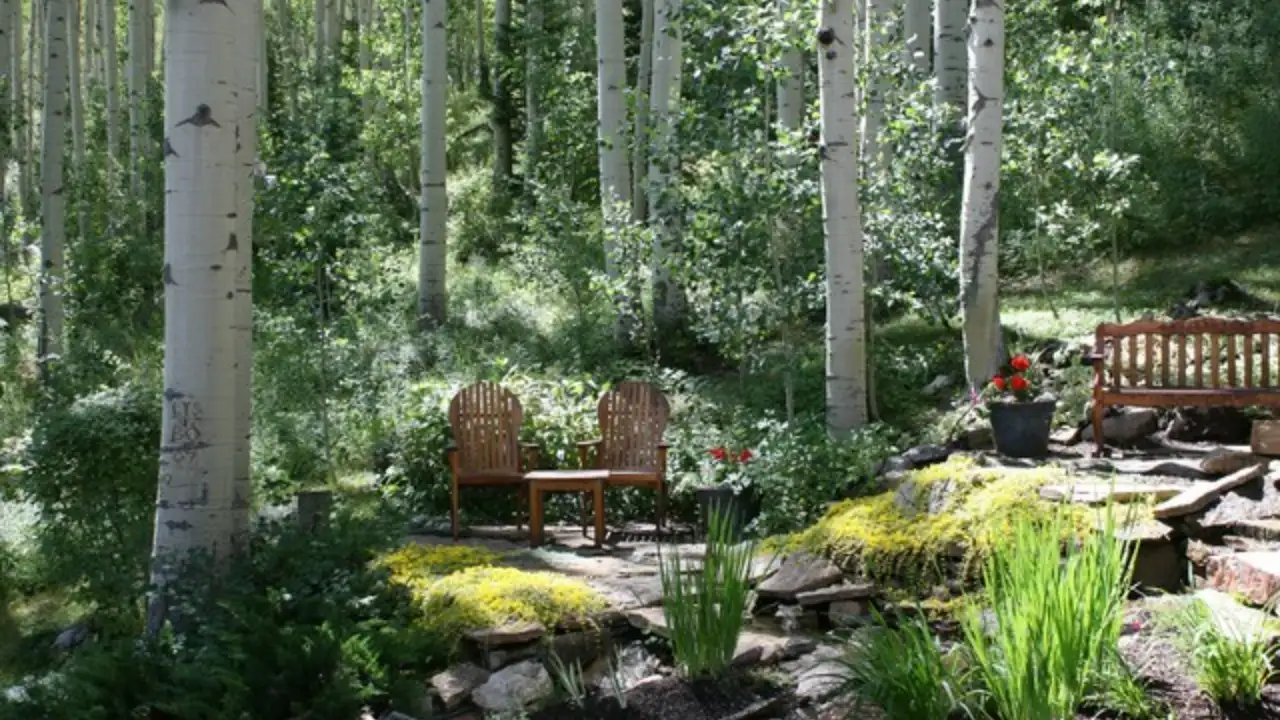 Dalam Taman hutan jepang Shinrin-niwa, jalur hutan bukan sekadar elemen penghubung melainkan bagian penting yang menentukan bagaimana tubuh dan pikiran mulai merespons ruang. Jalur ini tidak dibuat lurus atau lebar seperti taman kota tetapi dirancang berliku mengikuti posisi pohon dan semak, dengan lebar sekitar 50–70 cm agar langkah tidak terburu-buru dan tubuh secara alami menyesuaikan ritmenya. Material yang digunakan pun dipilih sederhana dan menyatu dengan alam seperti stepping stone, kayu outdoor, atau tanah padat dengan taburan kerikil sehingga setiap pijakan terasa dan tidak dilalui secara otomatis. Tanpa disadari, jalur ini memaksa langkah menjadi lebih pelan, perhatian kembali ke pergerakan tubuh, dan napas mengikuti ritme berjalan. Inilah sebabnya jalur hutan disebut elemen wajib dalam Shinrin-niwa karena melalui jalur inilah proses melambat, hadir penuh, dan ketenangan batin mulai terbentuk secara alami.