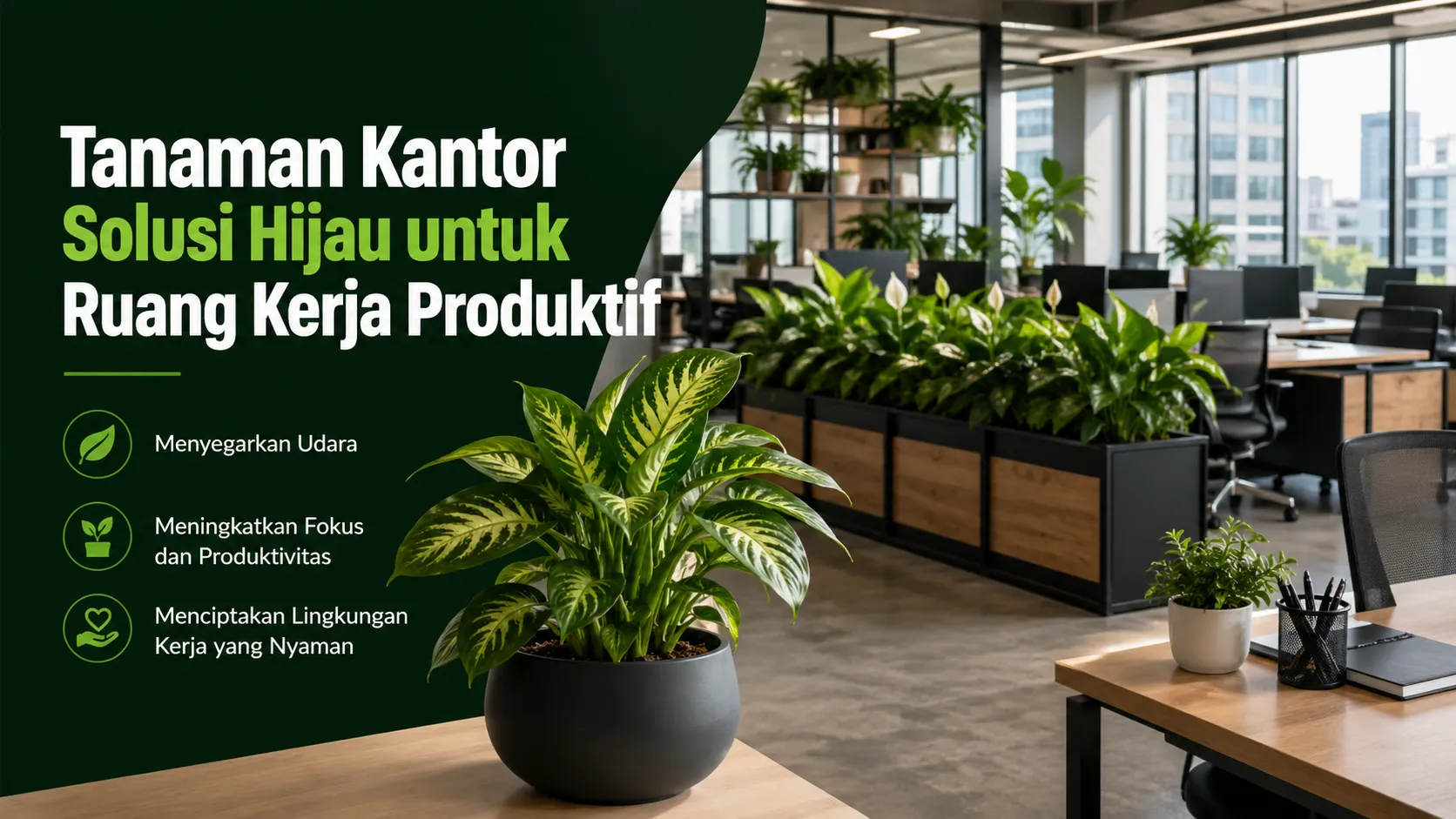 tanaman kantor
