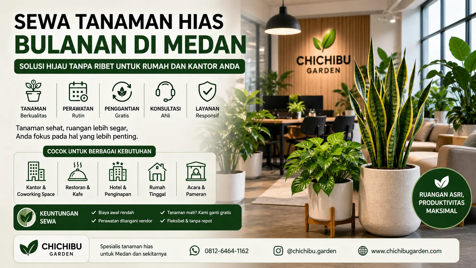 sewa tanaman hias bulanan