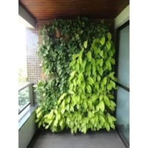 vertical garden