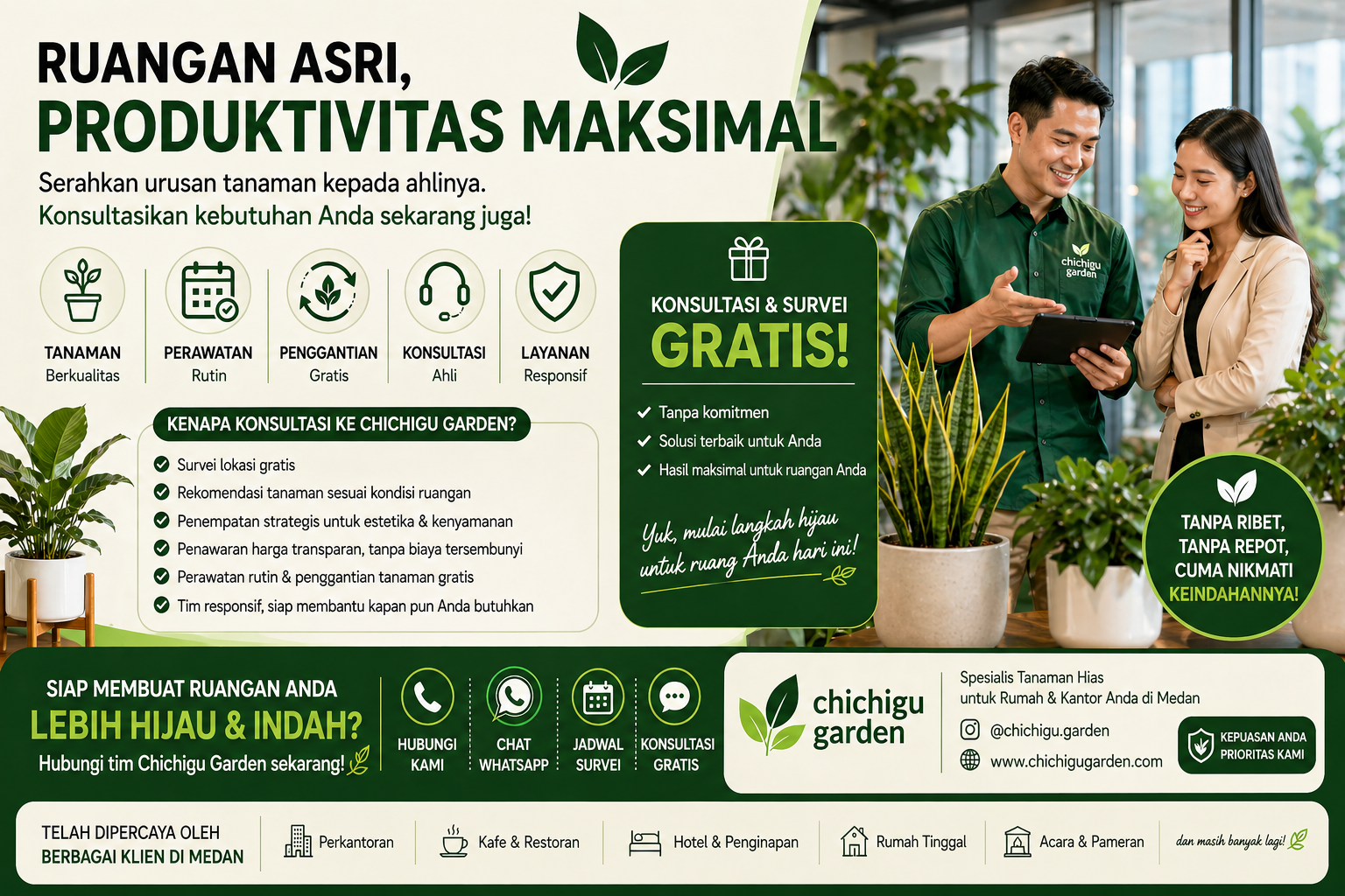 sewa tanaman hias bulanan medan
