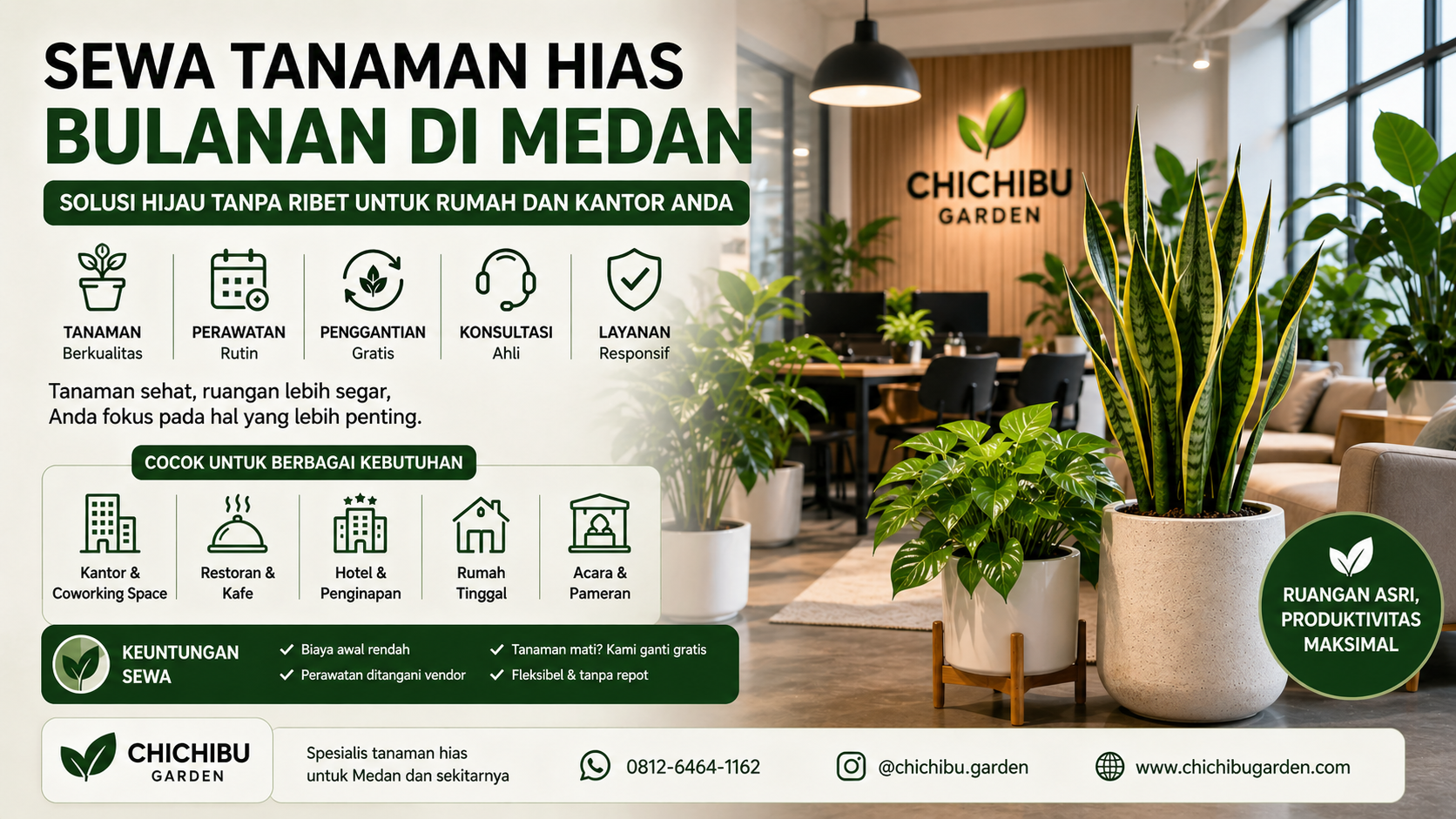 sewa tanaman hias bulanan