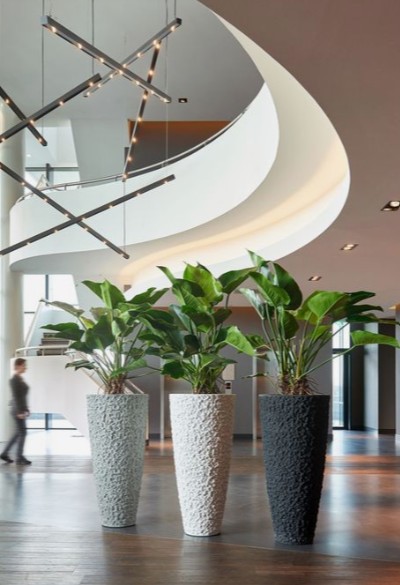 sewa tanaman kantor