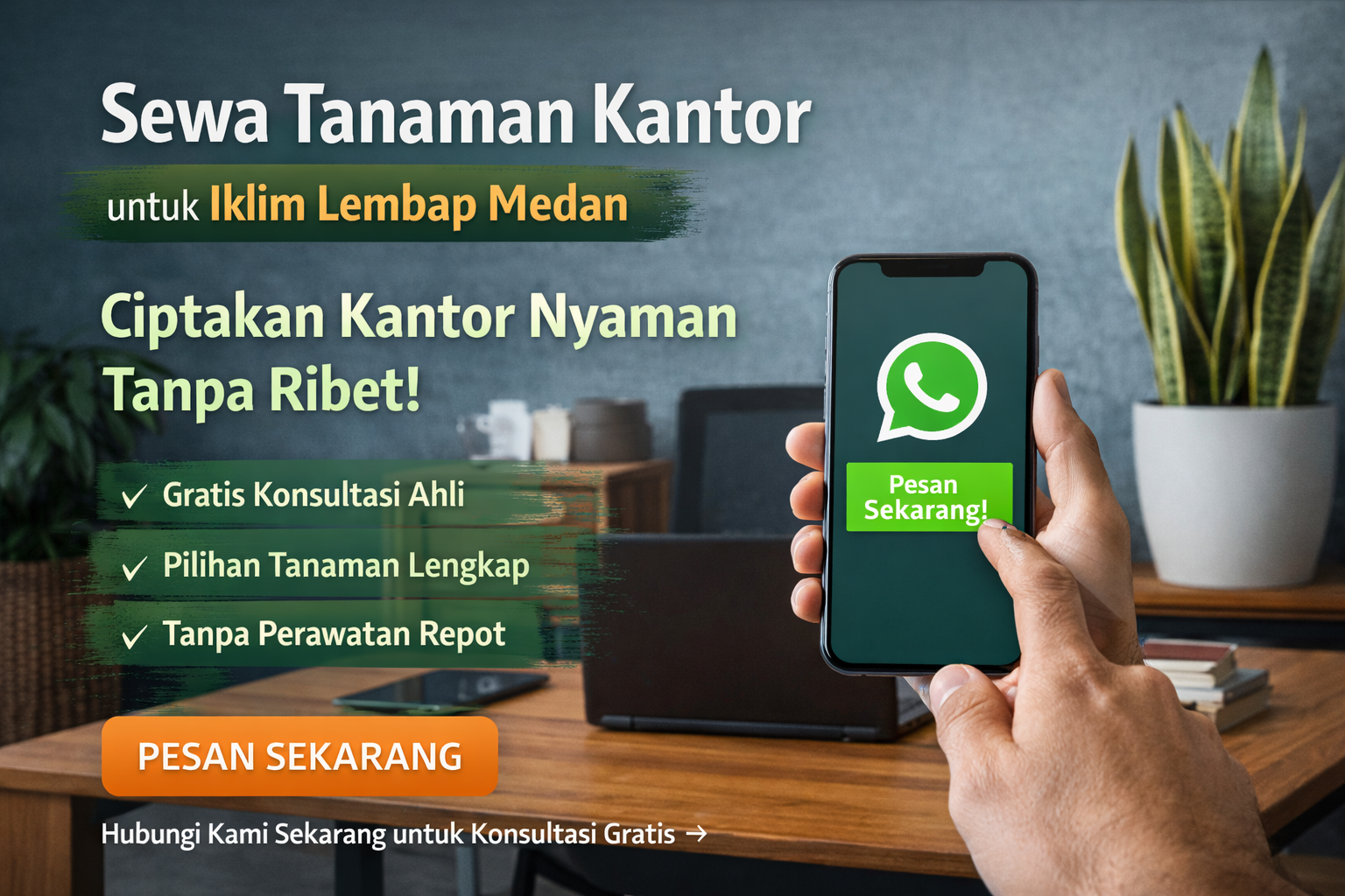 sewa tanaman kantor medan