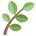 Daun Hijau